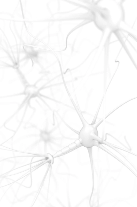 фото очагов демиелинизации при рассеянном склерозе